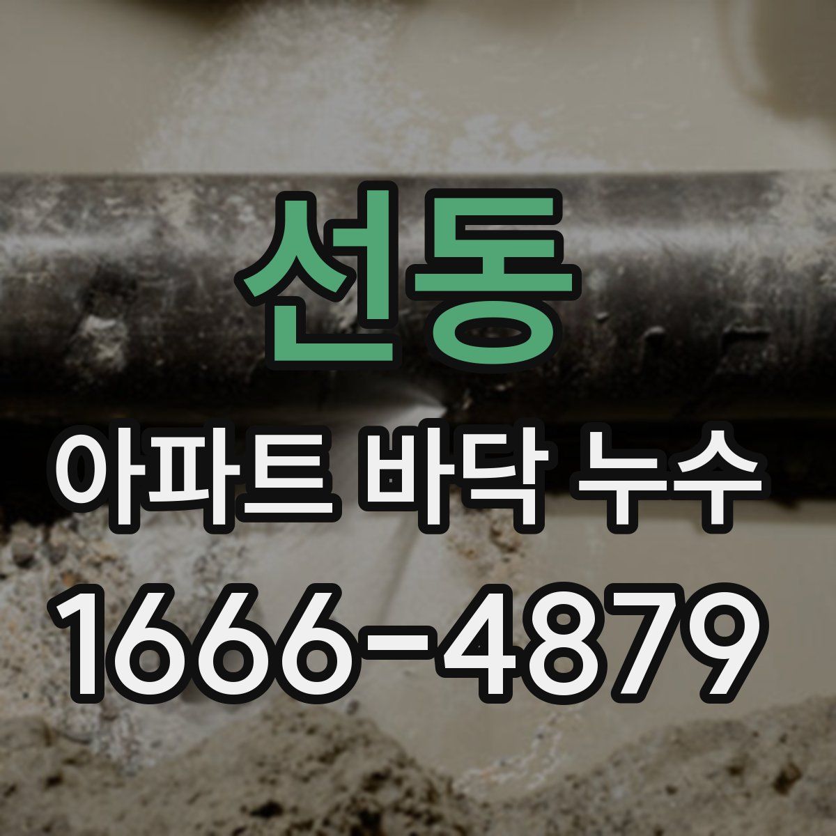 선동 아파트 바닥 누수