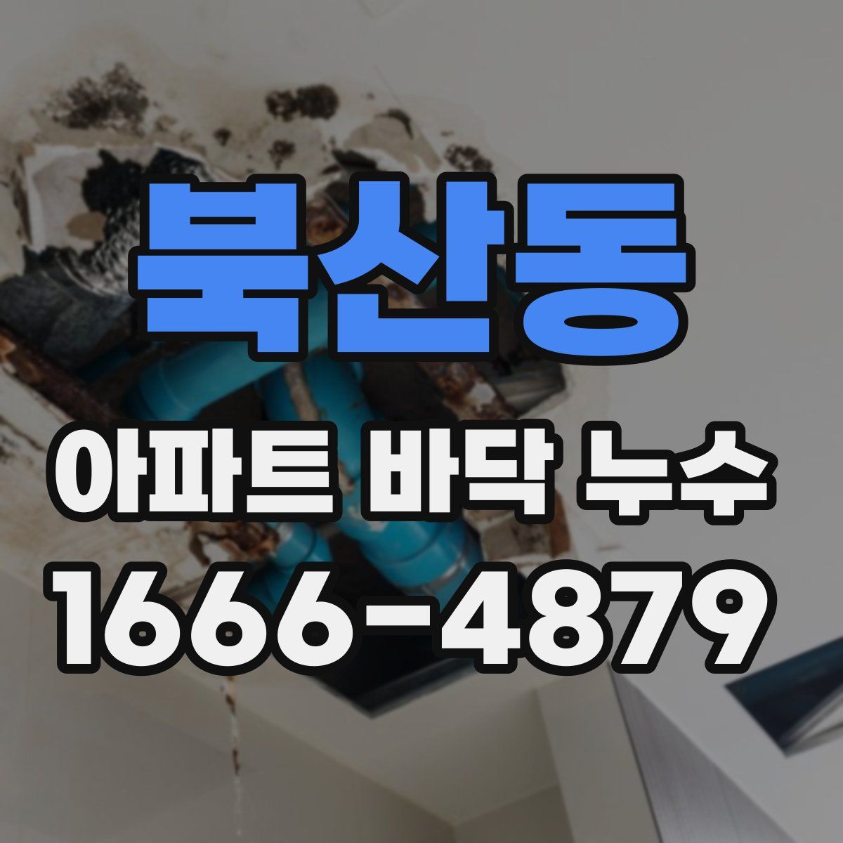 북산동 아파트 바닥 누수