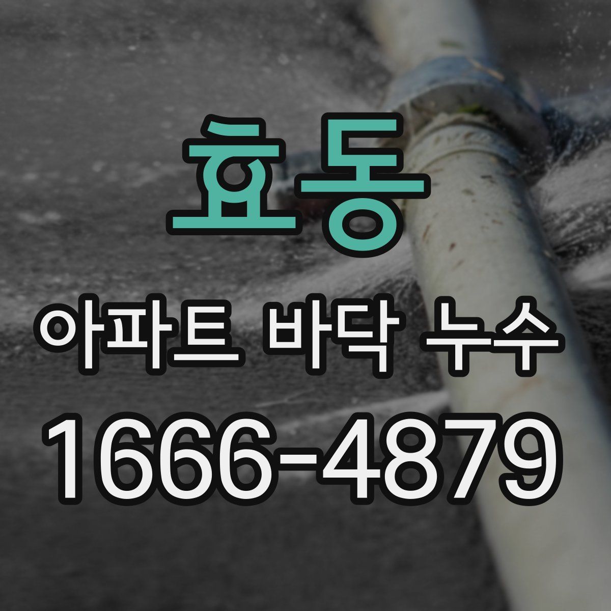 효동 아파트 바닥 누수