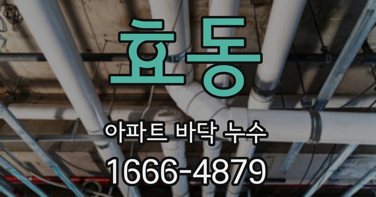 효동 아파트 바닥 누수
