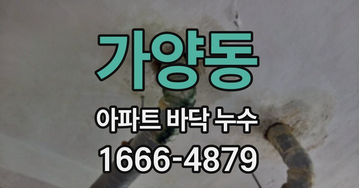 가양동 아파트 바닥 누수