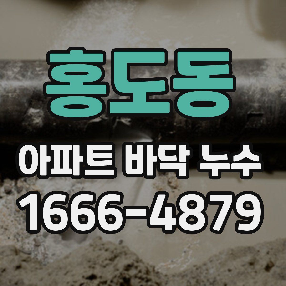 홍도동 아파트 바닥 누수
