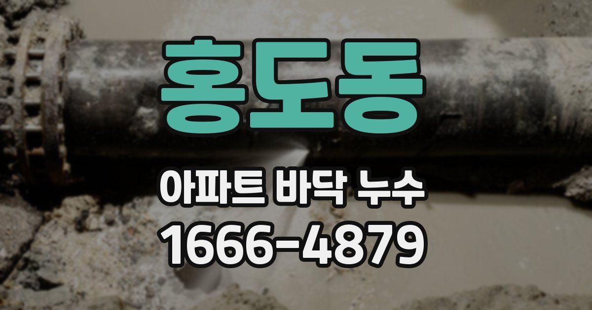 홍도동 아파트 바닥 누수