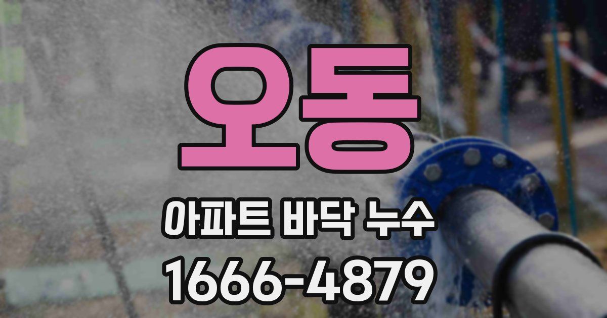 오동 아파트 바닥 누수