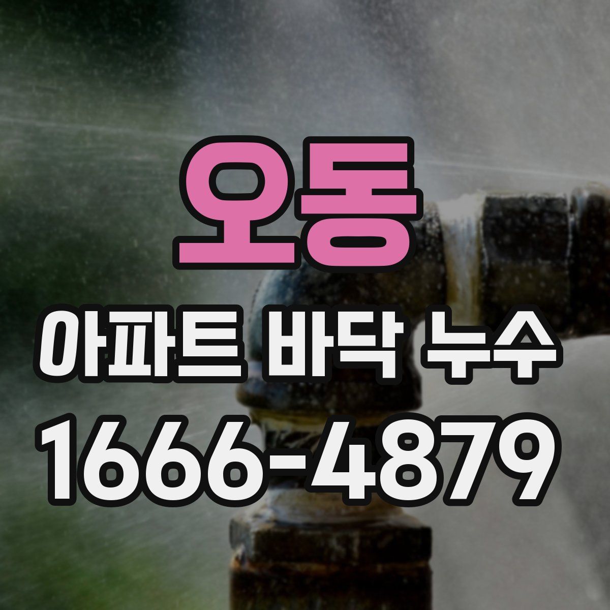 오동 아파트 바닥 누수