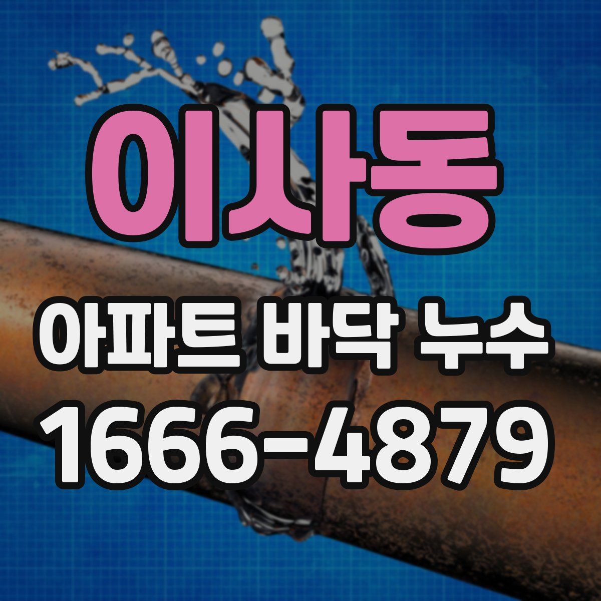 이사동 아파트 바닥 누수