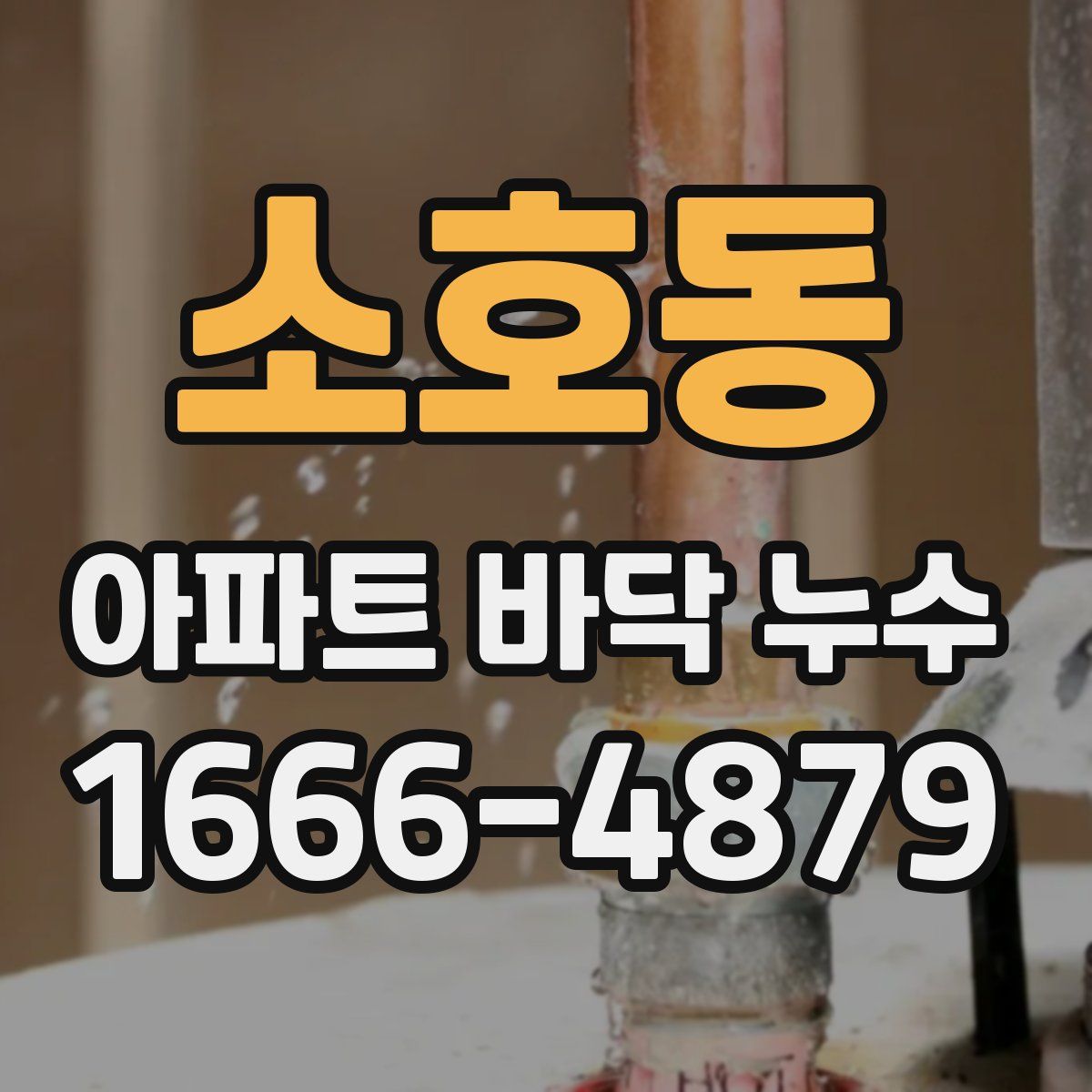 소호동 아파트 바닥 누수