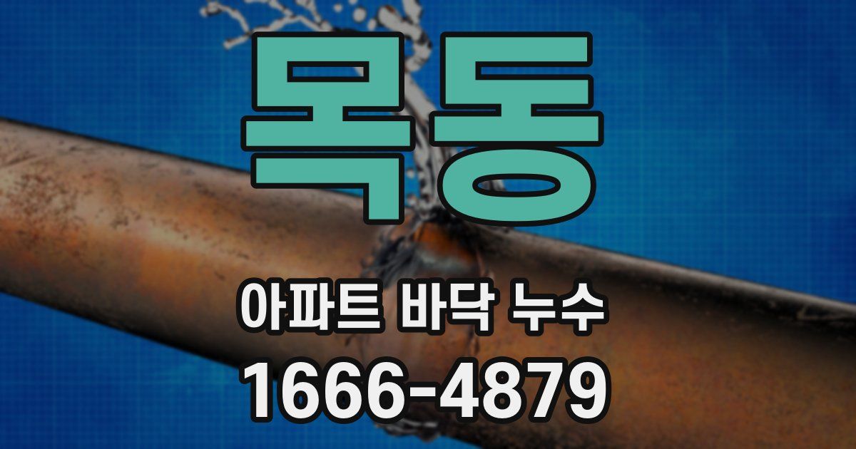 목동 아파트 바닥 누수