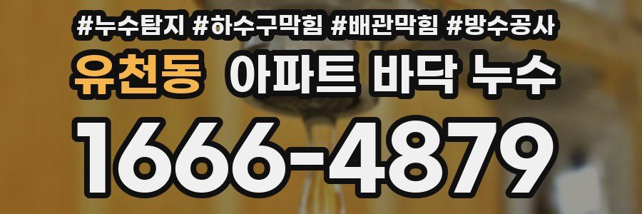 유천동 아파트 바닥 누수