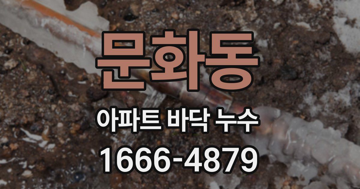 문화동 아파트 바닥 누수
