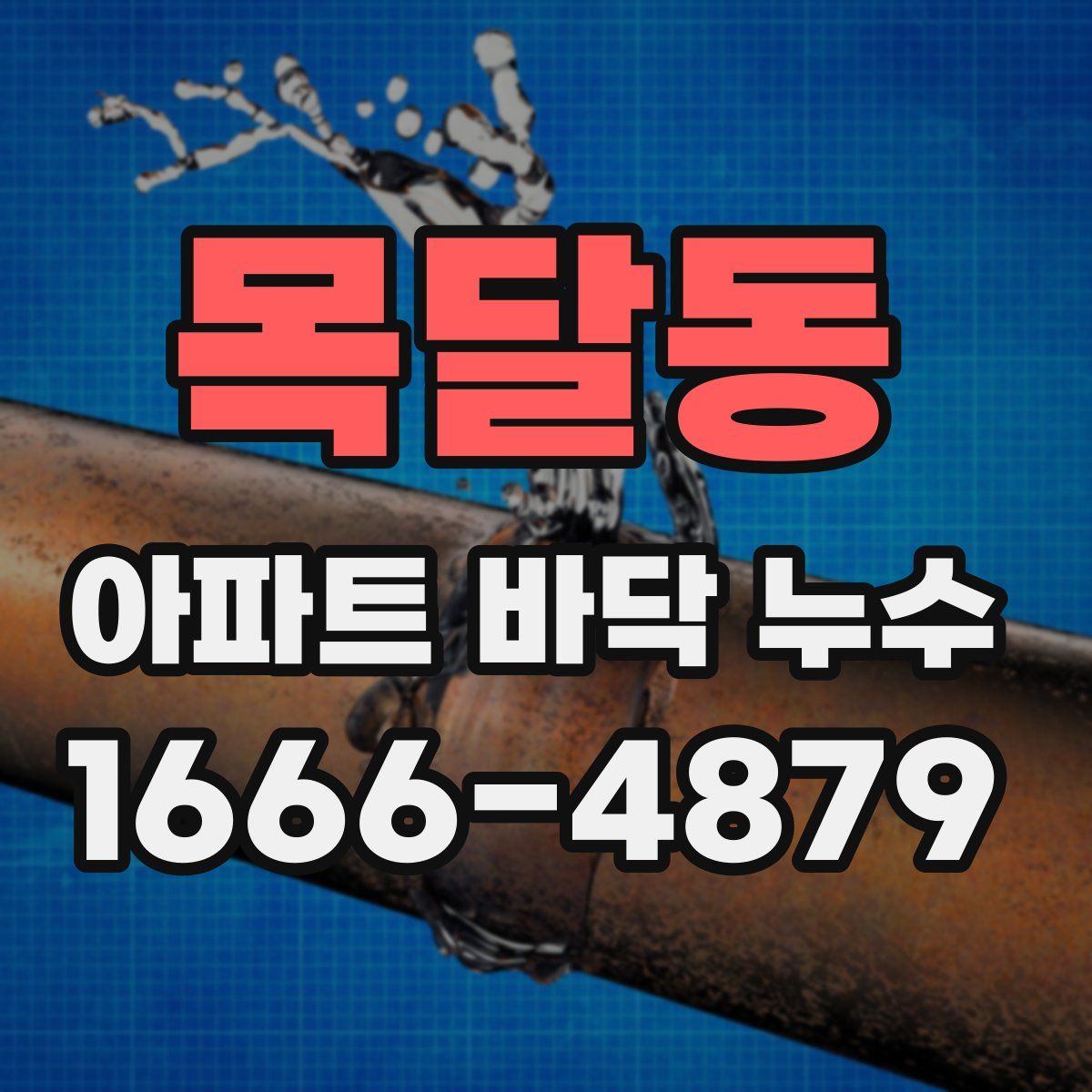 목달동 아파트 바닥 누수