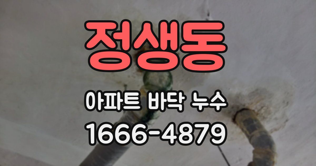 정생동 아파트 바닥 누수