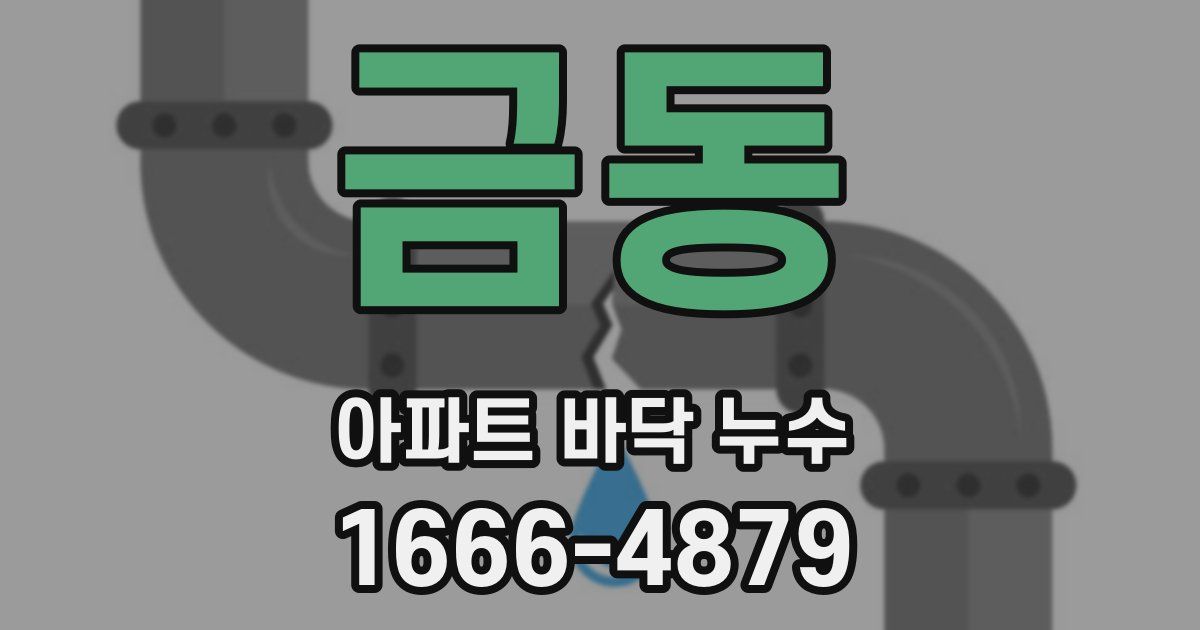금동 아파트 바닥 누수