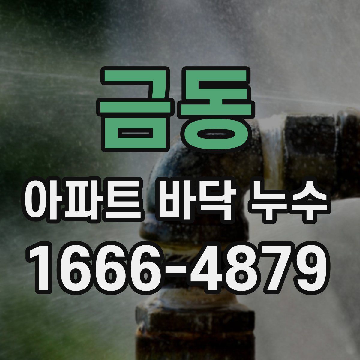 금동 아파트 바닥 누수