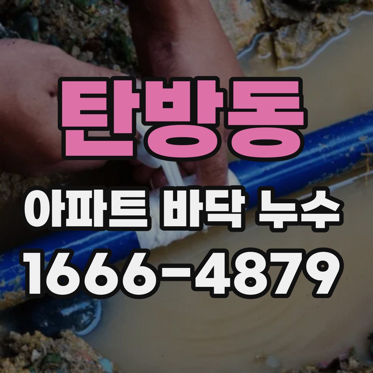 탄방동 아파트 바닥 누수