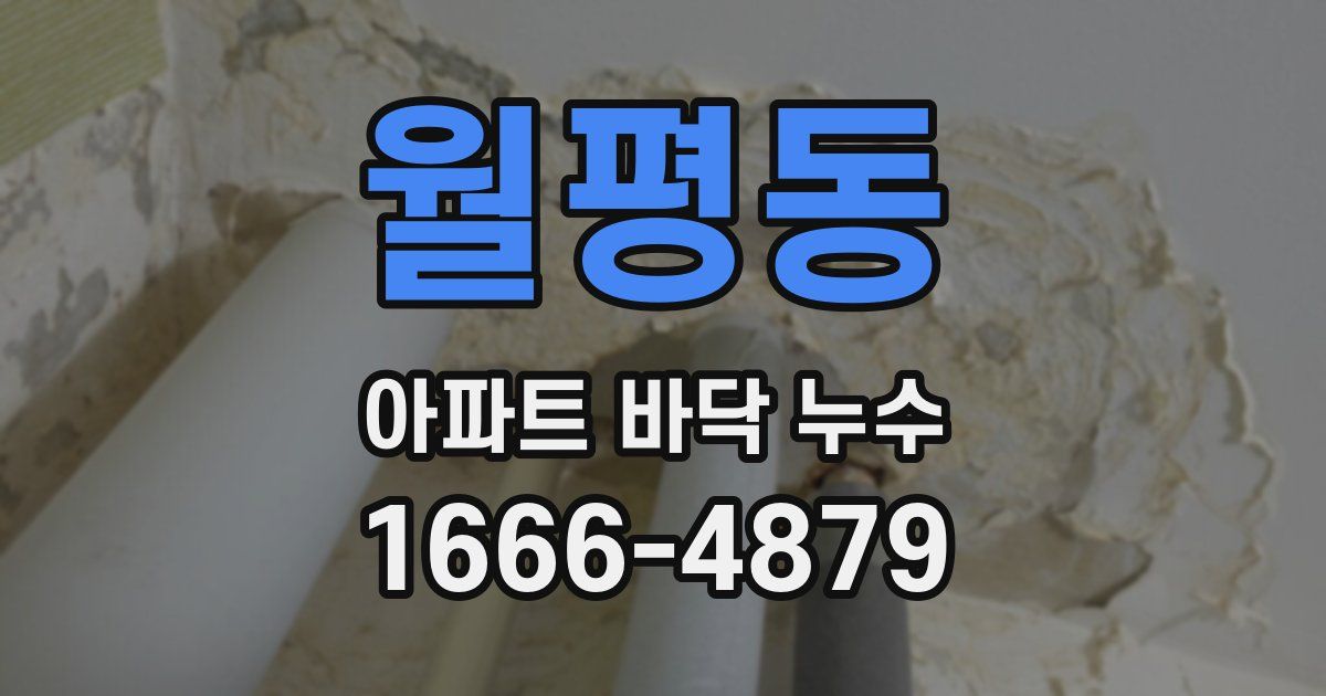 월평동 아파트 바닥 누수