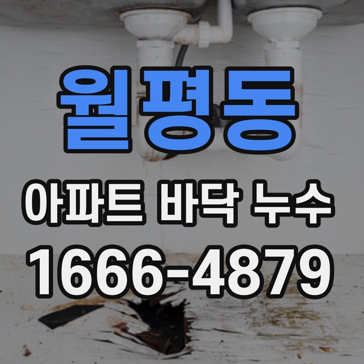 월평동 아파트 바닥 누수