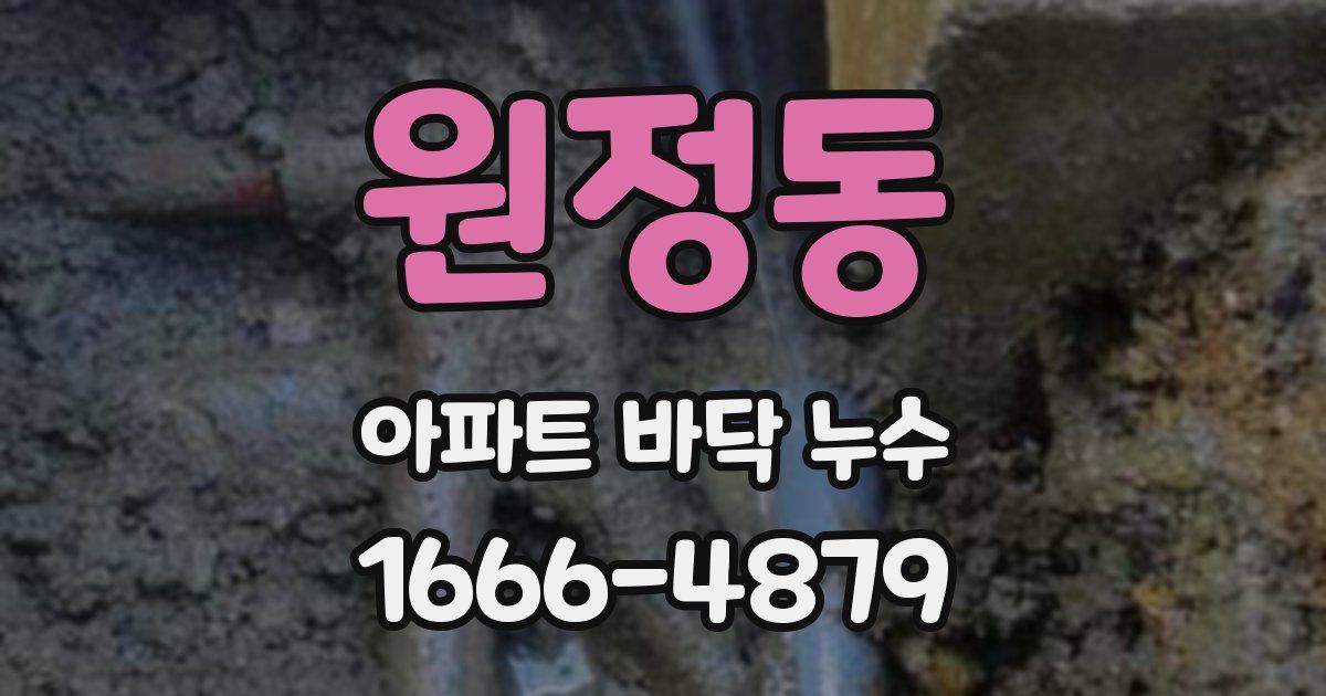 원정동 아파트 바닥 누수