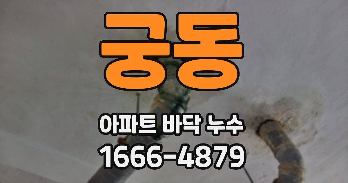 궁동 아파트 바닥 누수