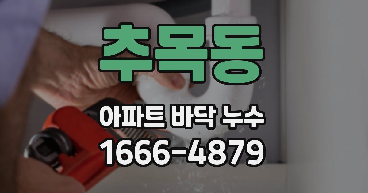 추목동 아파트 바닥 누수