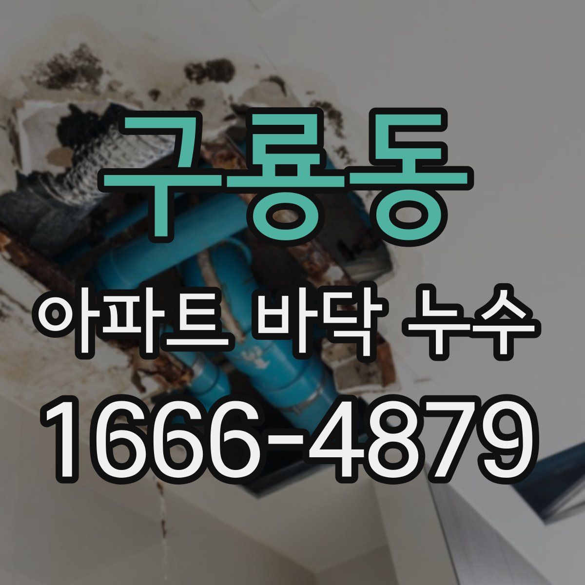 구룡동 아파트 바닥 누수