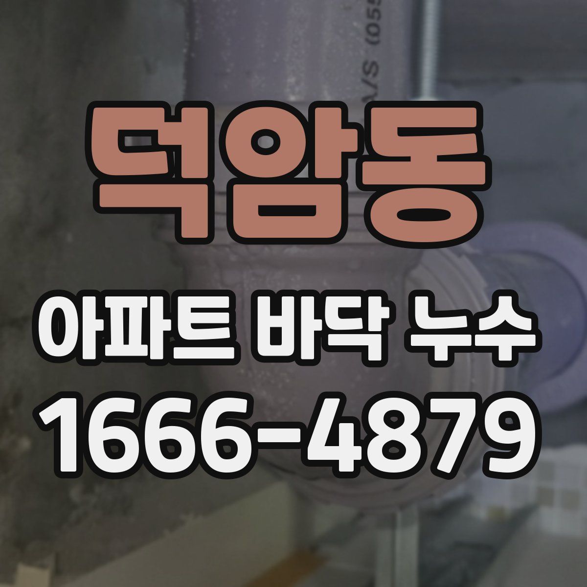 덕암동 아파트 바닥 누수
