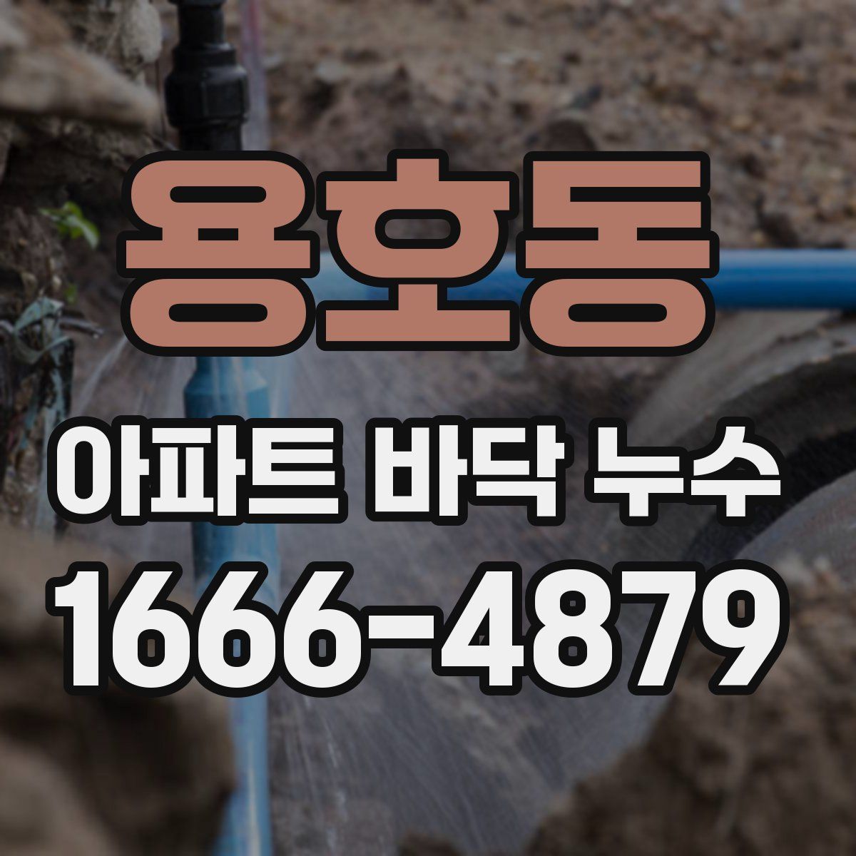 용호동 아파트 바닥 누수