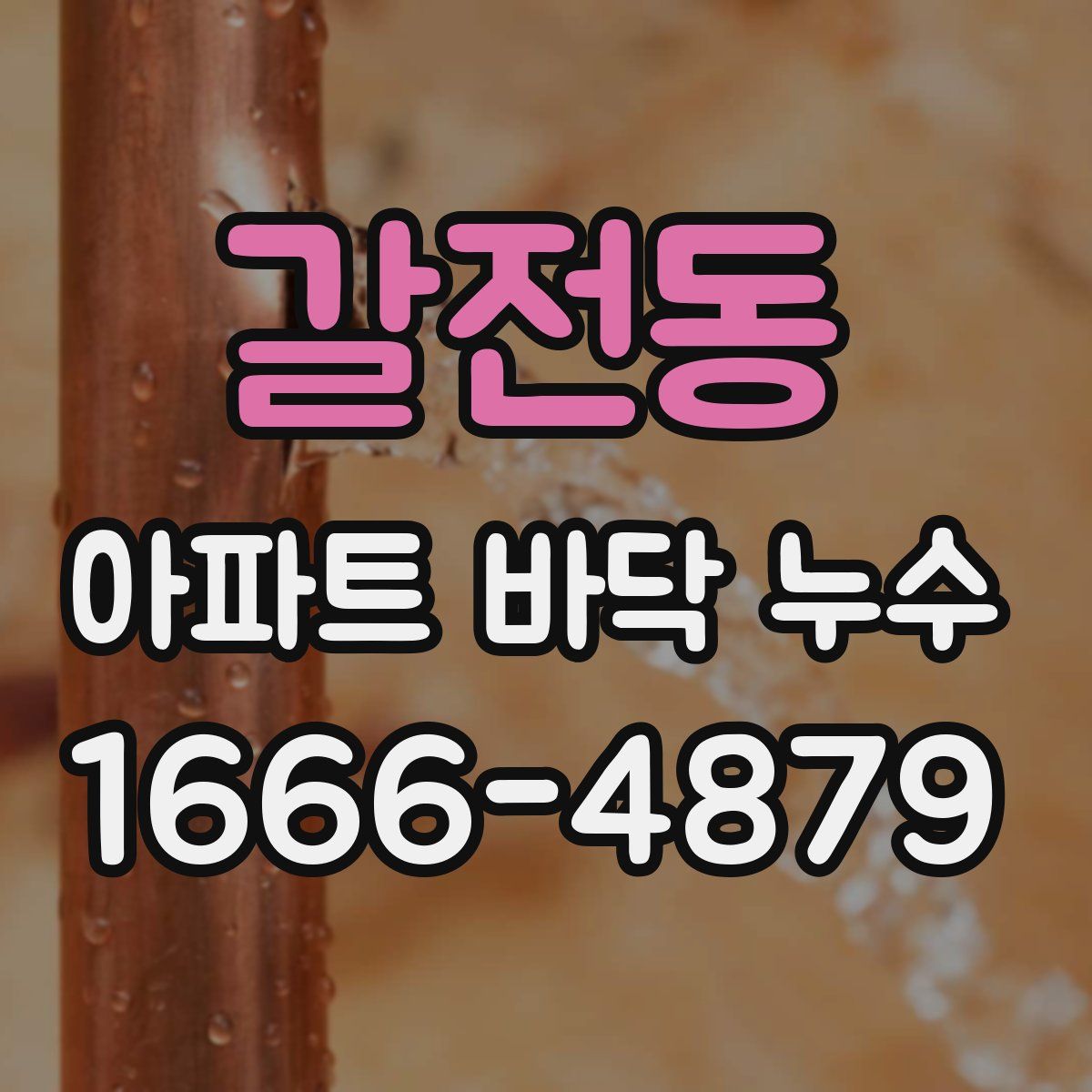 갈전동 아파트 바닥 누수
