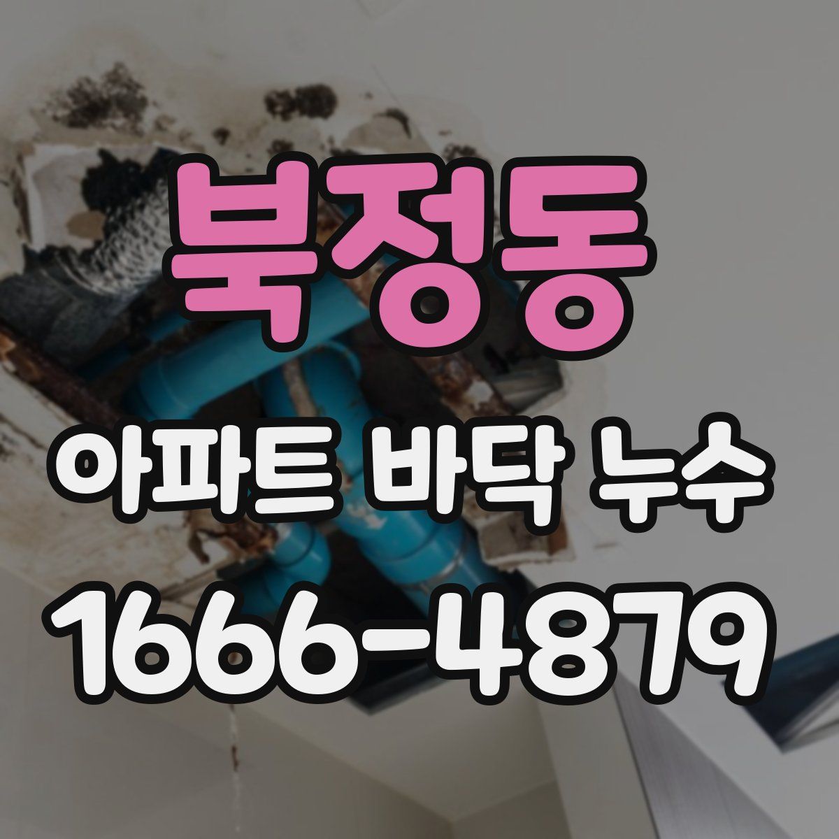 북정동 아파트 바닥 누수