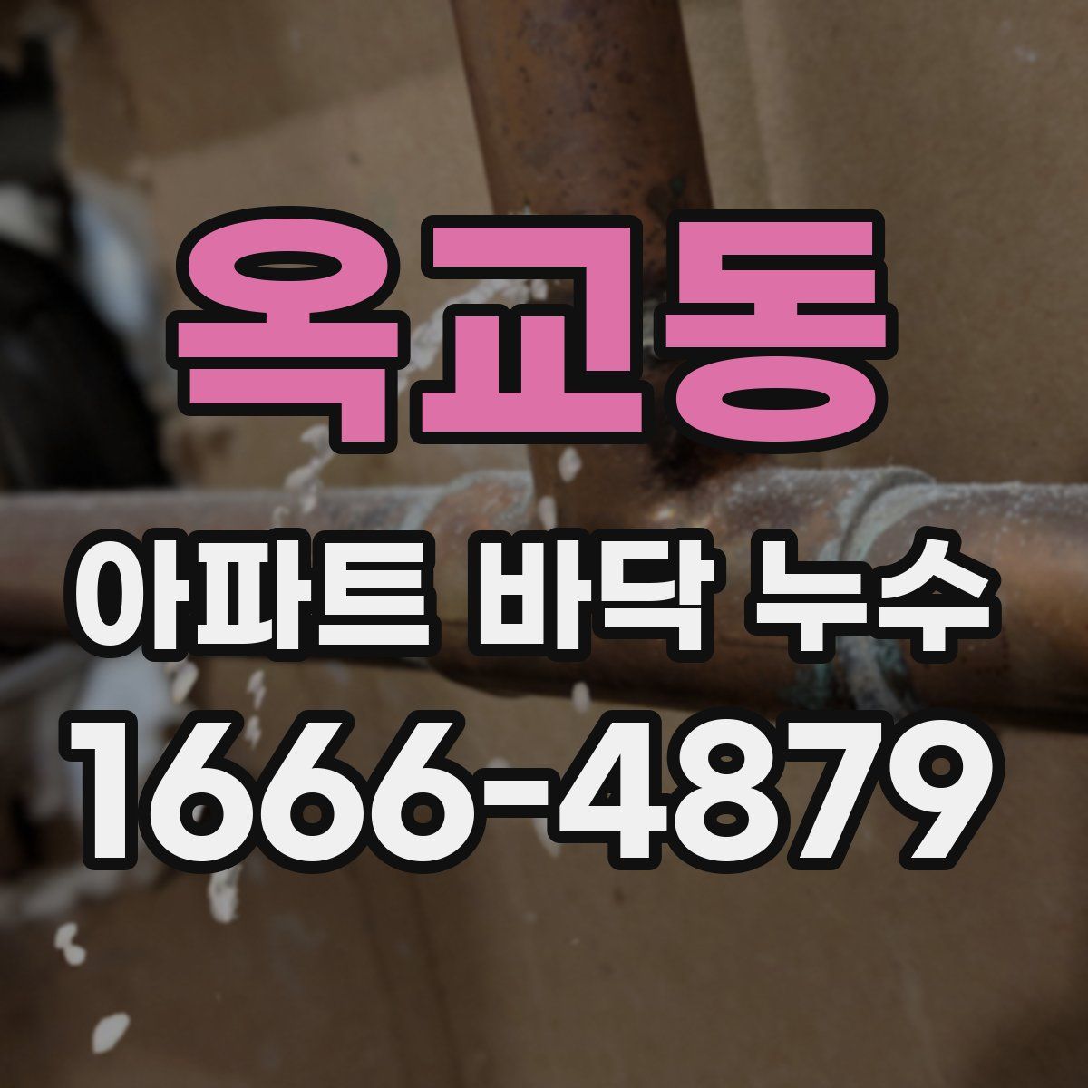 옥교동 아파트 바닥 누수