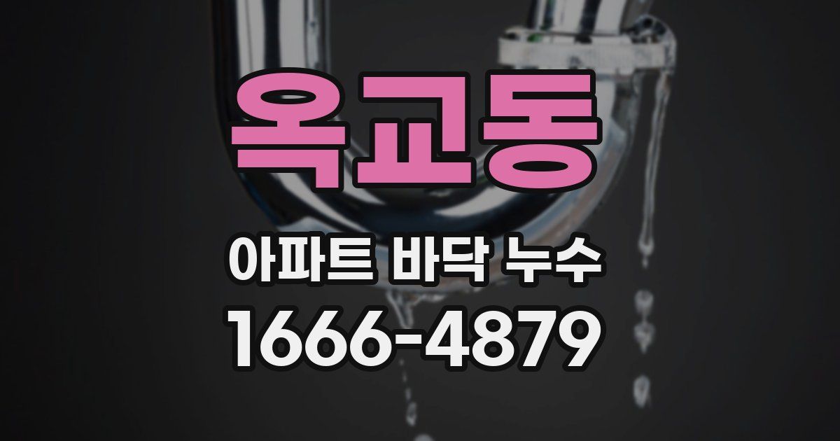 옥교동 아파트 바닥 누수
