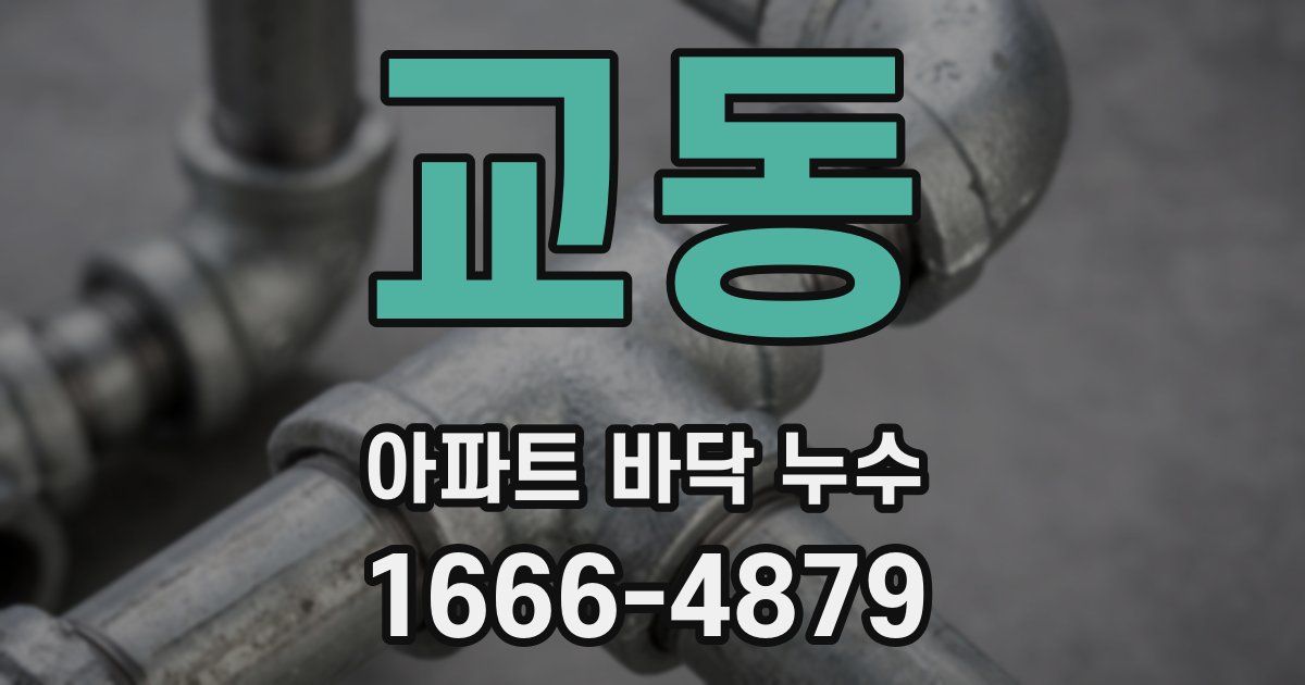 교동 아파트 바닥 누수