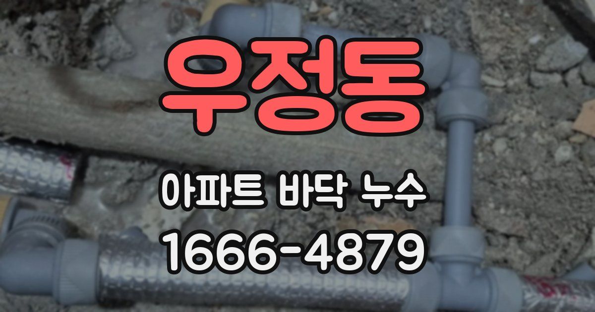 우정동 아파트 바닥 누수