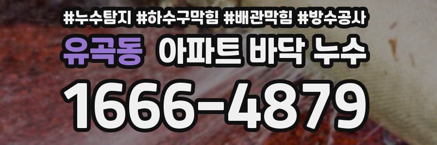유곡동 아파트 바닥 누수