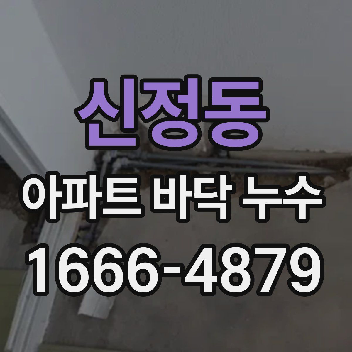 신정동 아파트 바닥 누수