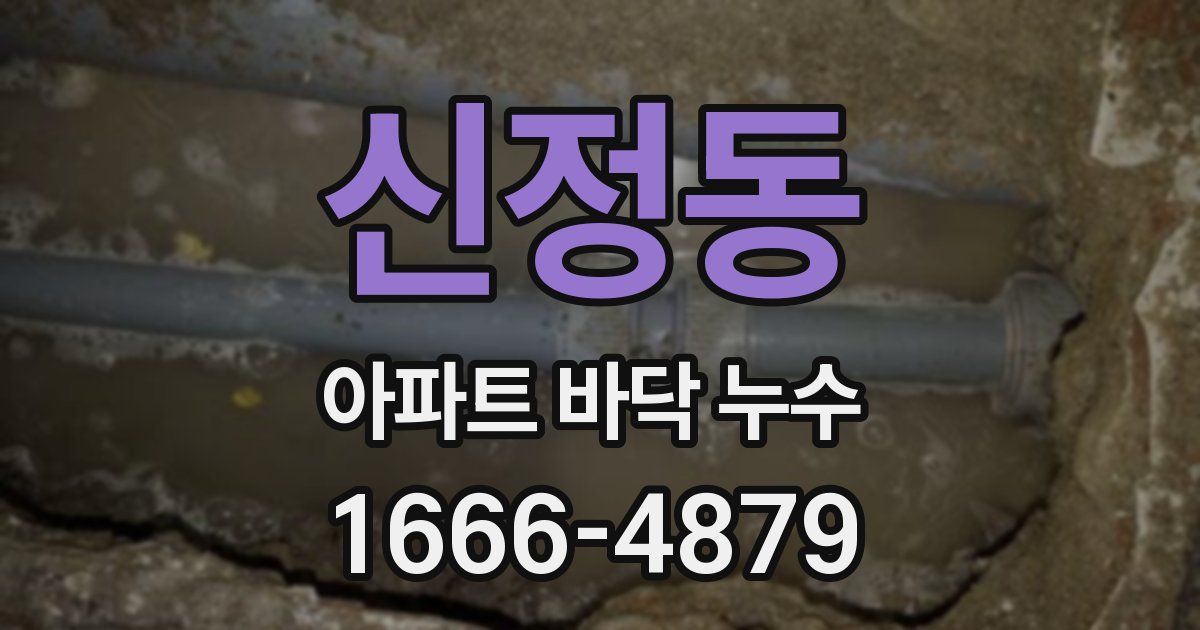 신정동 아파트 바닥 누수