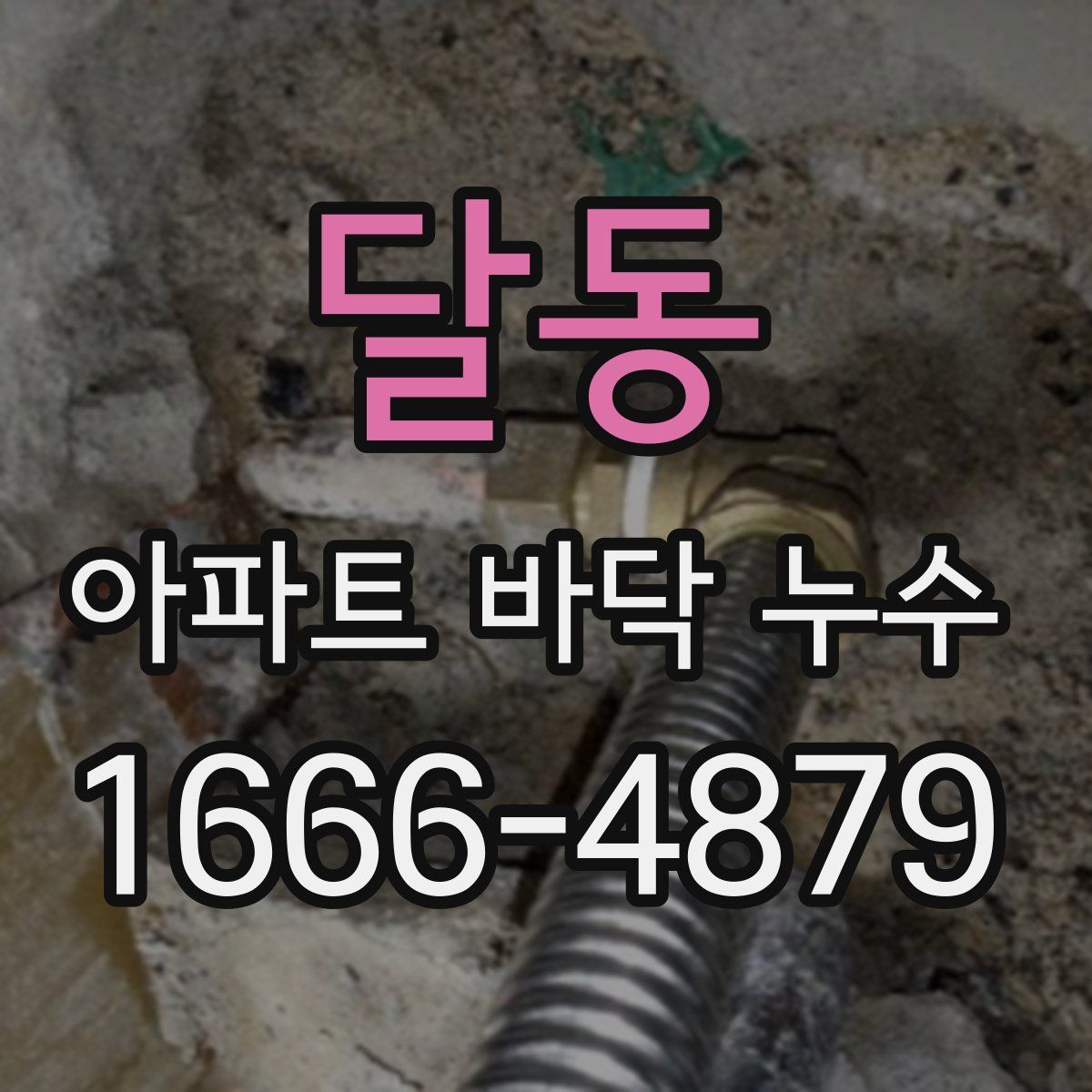 달동 아파트 바닥 누수