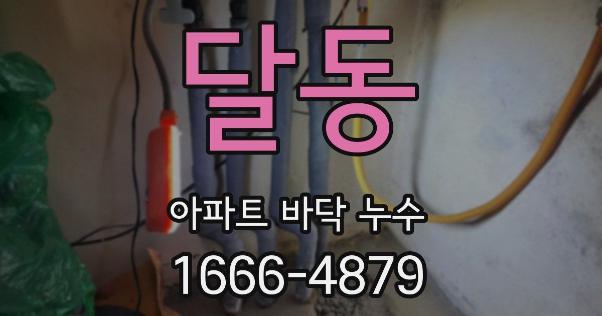 달동 아파트 바닥 누수