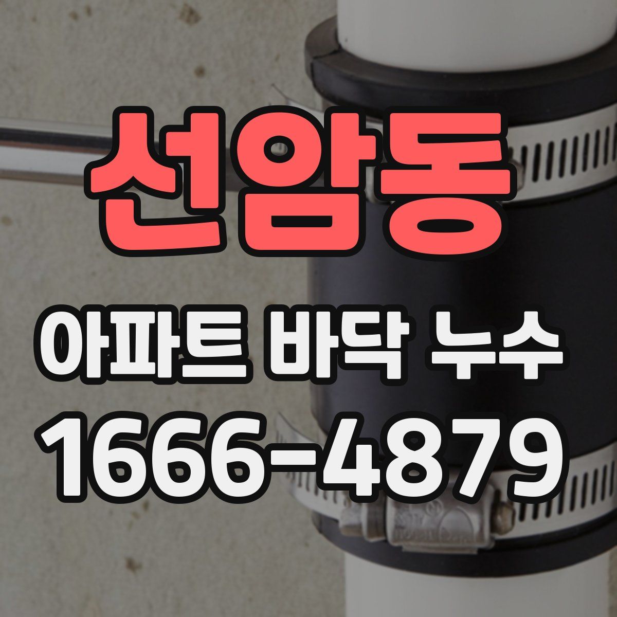 선암동 아파트 바닥 누수