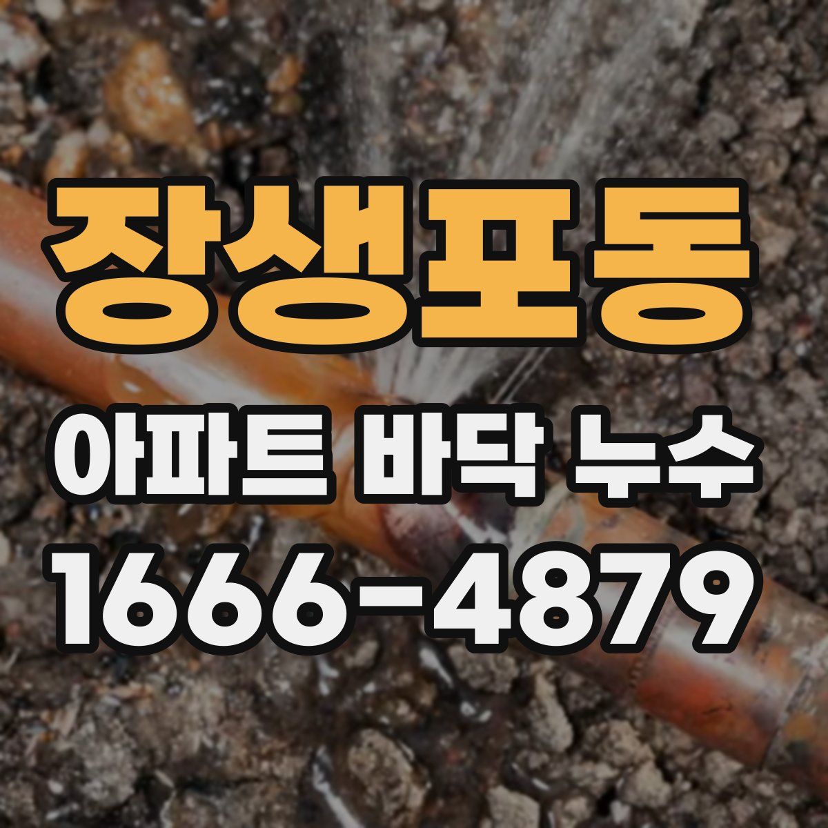 장생포동 아파트 바닥 누수
