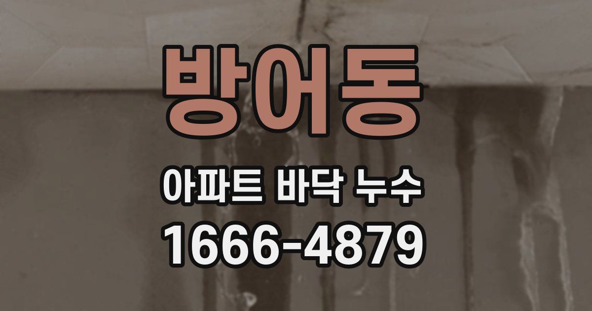 방어동 아파트 바닥 누수