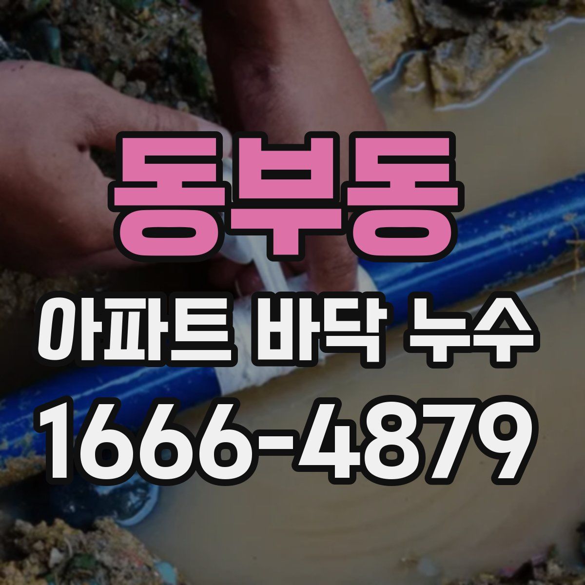 동부동 아파트 바닥 누수