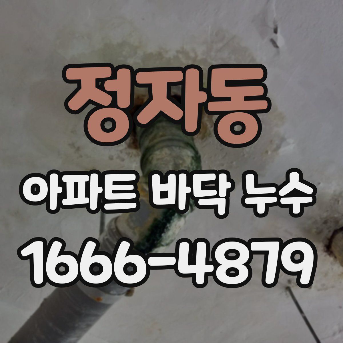 정자동 아파트 바닥 누수