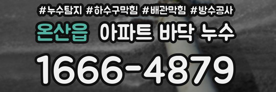 온산읍 아파트 바닥 누수
