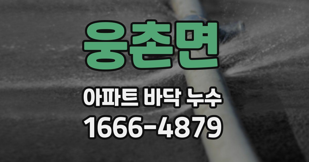 웅촌면 아파트 바닥 누수