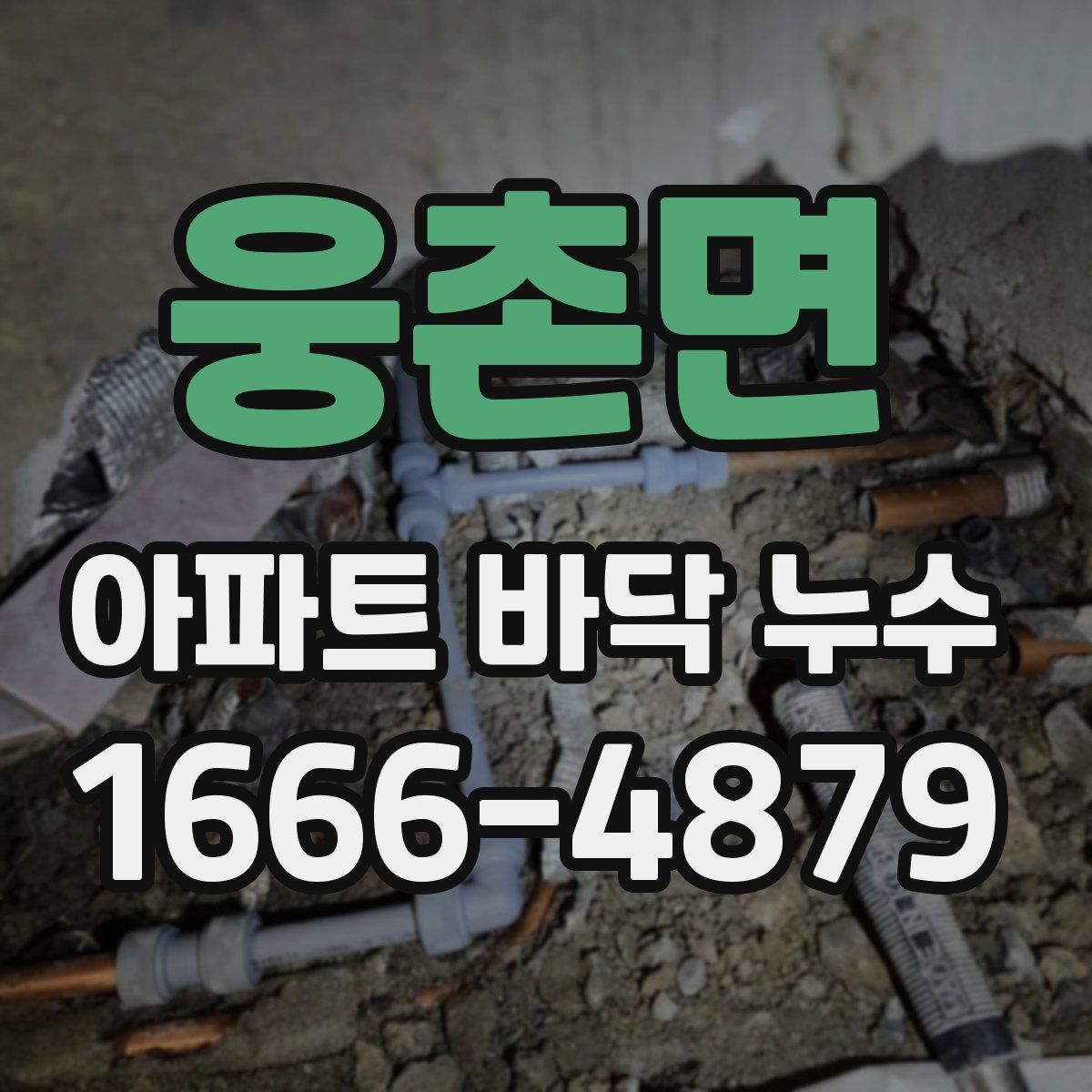 웅촌면 아파트 바닥 누수