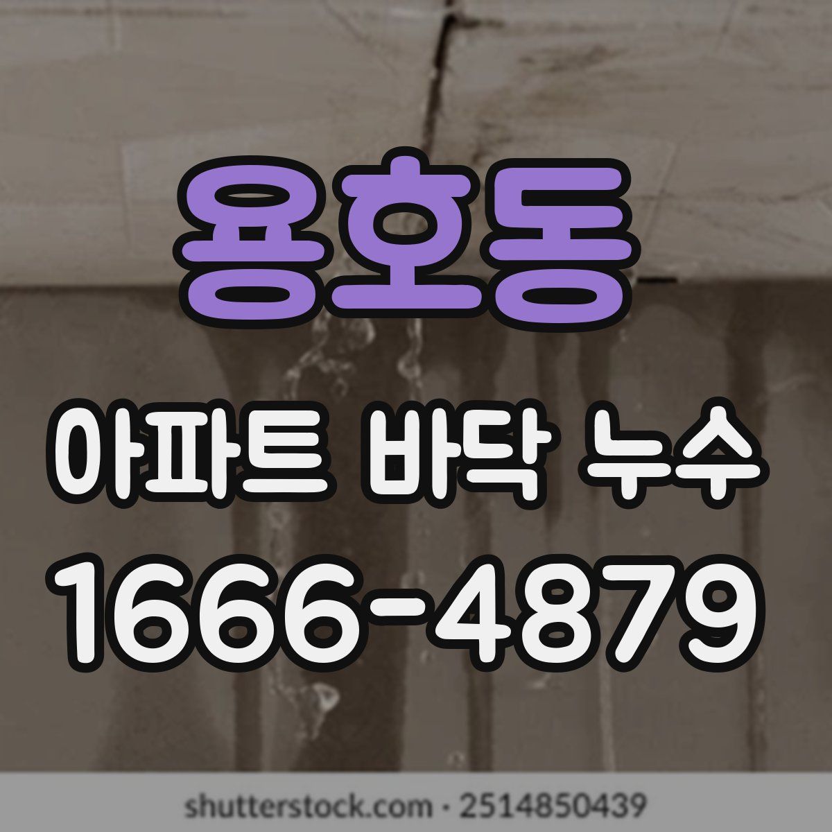 용호동 아파트 바닥 누수