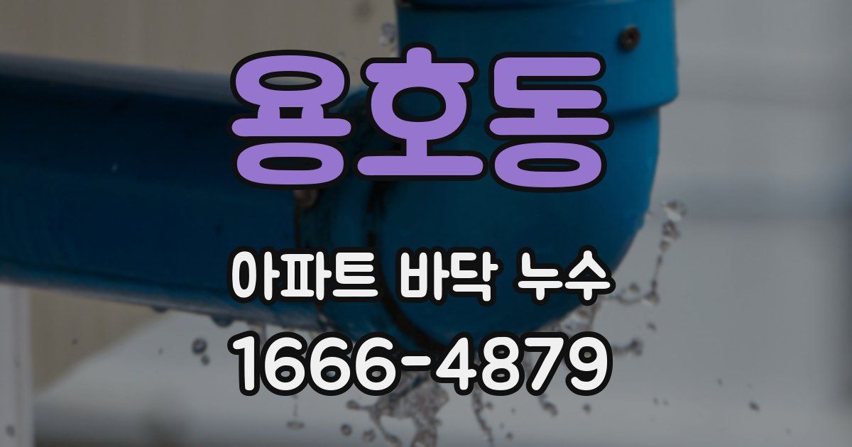 용호동 아파트 바닥 누수