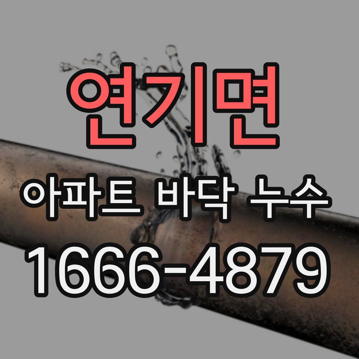 연기면 아파트 바닥 누수