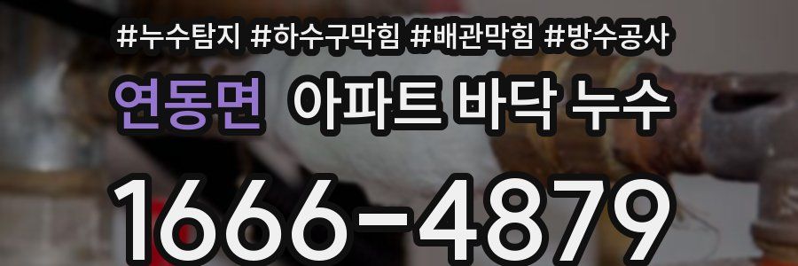 연동면 아파트 바닥 누수